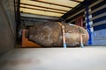 独ケルンで見つかり、トラックに載せられた第2次世界大戦の不発弾（2015年5月27日撮影）。(c)AFP/DPA/ROLF VENNENBERND