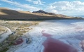 米ユタ州にあるグレートソルト湖で、水位が低下して塩分濃度が高まり水がピンク色になった場所（2024年9月9日撮影）。(c)Frederic J. BROWN / AFP