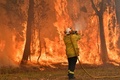 豪セントラルコーストで森林火災に対応する消防士（2019年12月10日撮影）。(c)AFP/SAEED KHAN