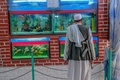 アフガニスタンのカブール動物園で水槽を見るタリバン戦闘員（2021年9月17日撮影）。(c)BULENT KILIC / AFP