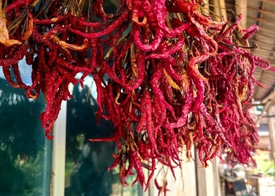 中国のトウガラシ輸出 貴州省が最多 年間生産額は6000億円超