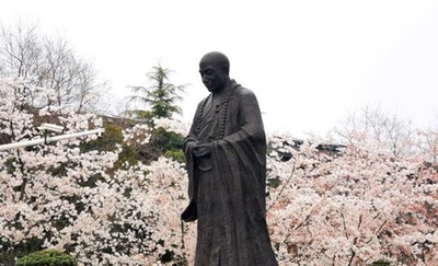 まさに千本桜、鑑真路の桜が満開に 中国・江蘇省