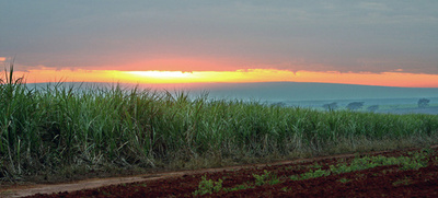 目当ての売春婦に会えず嫉妬、男が6人射殺 ブラジル