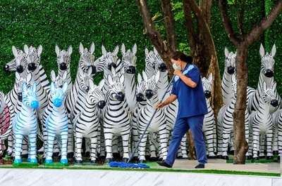 【今日の1枚】シマウマの森? バンコクの診療所前