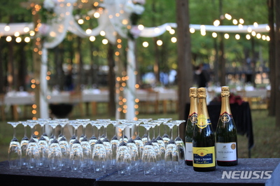 ソウルから1時間、「南怡島」は見どころ満載 (下) – KOREA WAVE