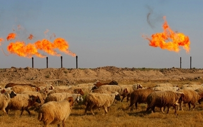 イラン軍、イラク油井から「50メートル」撤退 依然として領内に