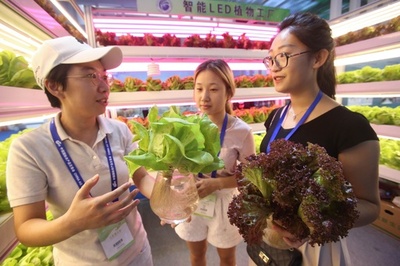 野菜を「LED工場」で生産、中国初の試み 北京
