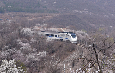 長城の麓に「花の海」 北京居庸関