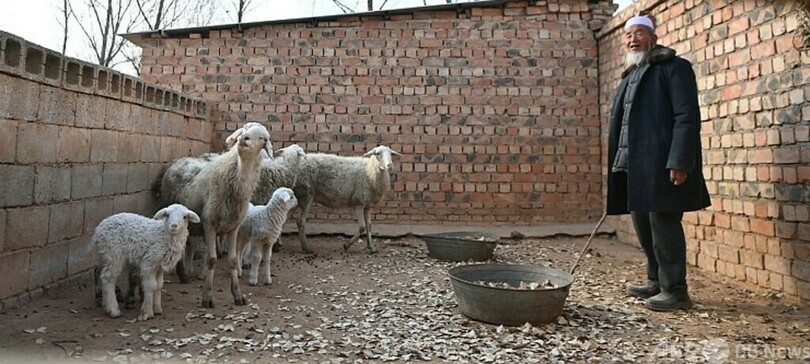 中国甘粛省地震後に政府が牛や羊を高く買い取り 農家を支援