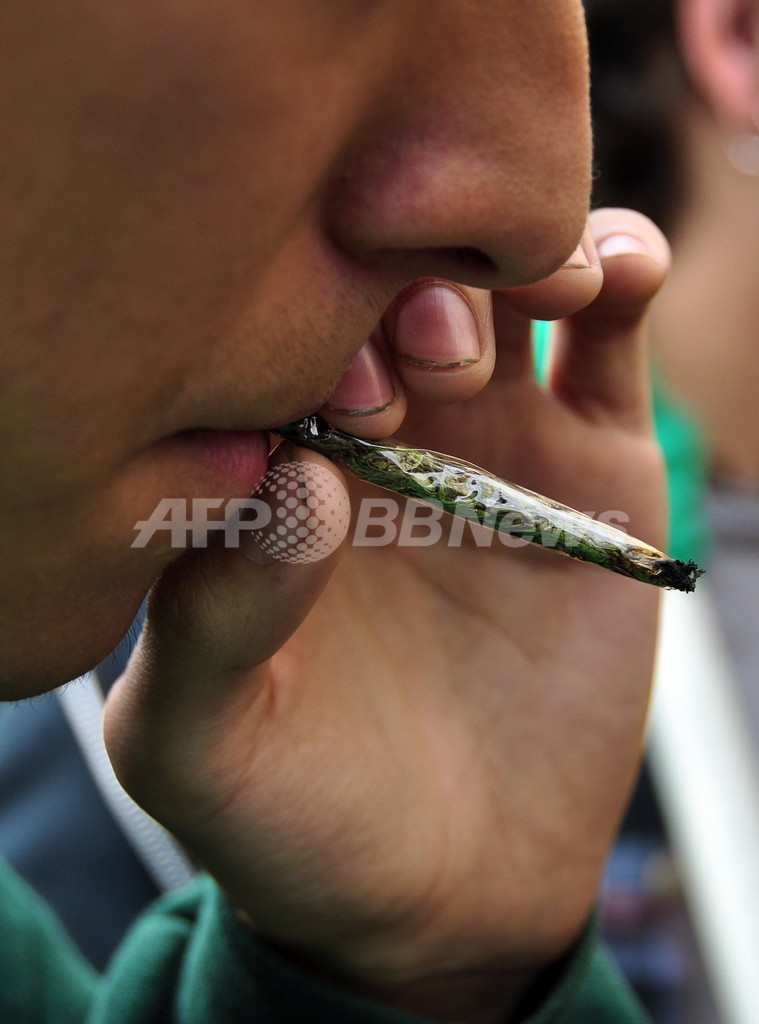 大麻が記憶障害を起こす経路が明らかに スペイン研究 写真1枚 国際ニュース Afpbb News