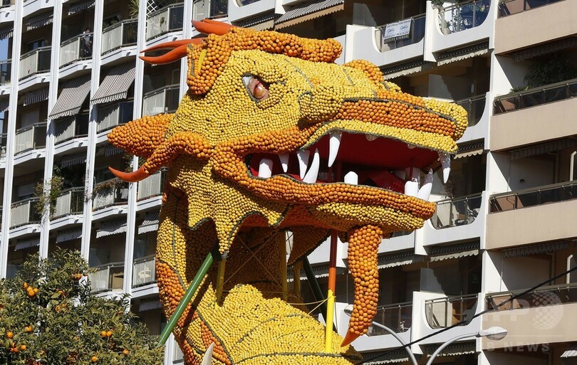 恒例の「レモン祭り」開催迫る、南仏