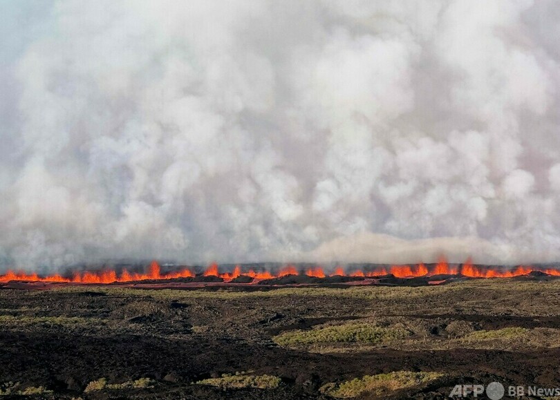 ガラパゴス諸島で火山噴火 希少イグアナ生息の島