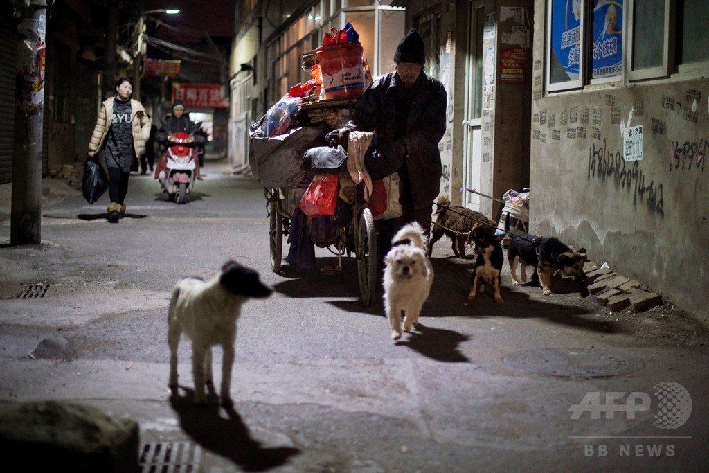 中国の犯罪組織、犬を即死させる注射器販売 ペット狙って食用に 中国の犯罪組織、犬を即死させる注射器販売 ペット狙って食用に