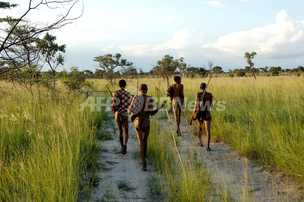 サン人のゲノムを解析 ツツ大主教もサン人の遺伝子を継承 写真6枚 国際ニュース Afpbb News