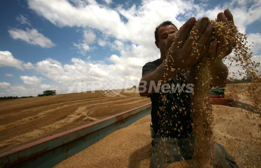 国連顧問、食糧危機は先進国の20年の無策が原因と苦言 写真1枚 国際ニュース：AFPBB News