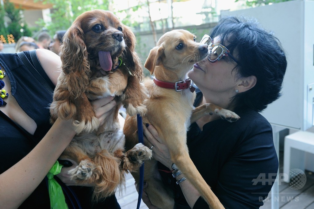 アリアナ・グランデの愛犬も登場！「コーチ」新キャンペーンイベント