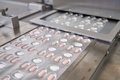 ドイツ・フライブルクの施設で製造されるファイザーの新型コロナウイルス感染症経口治療薬（2021年11月16日提供、資料写真）。(c)AFP PHOTO / Pfizer 