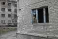 ウクライナ東部ドネツク州アウジーウカで、破壊された住宅の窓から外を見る野良犬（2022年12月15日撮影、資料写真）。(c)Genya SAVILOV / AFP