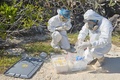 エクアドル・ガラパゴス諸島で鳥を検査するガラパゴス国立公園の職員。同園提供（2023年9月18日提供）。(c)AFP PHOTO / GALAPAGOS NATIONAL PARK