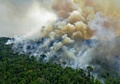 ブラジル北部パラ州で燃えるアマゾン熱帯雨林（2020年8月16日撮影）。(c)CARL DE SOUZA / AFP