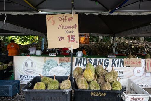 マレーシアでドリアン大豊作、庶民の手が届く価格まで大暴落 写真3枚