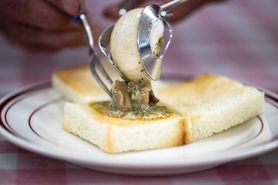 Japan's escargot entrepreneur achieves the 'impossible'