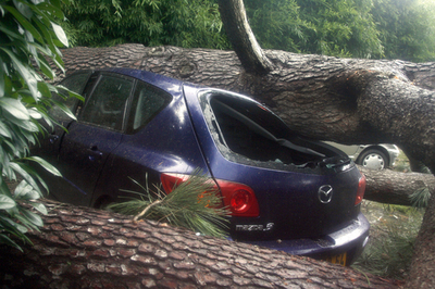 スペイン・フランスで広がる暴風雨の被害