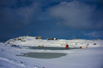 1500年前のコケ、再生に成功 南極氷床下で採取