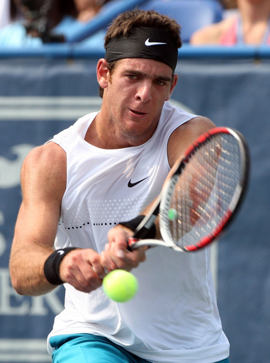 デルポトロ ゴンザレスを下し決勝進出、レッグ・メーソン・テニス・クラシック