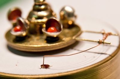 メリーゴーラウンドを回して力自慢、「ノミのサーカス団」 独