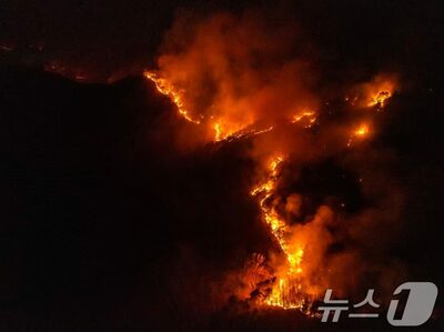 “雨男・雨女”パワーを結集しよう…山火事被害の韓国、広がる“現代版祈雨”の思い