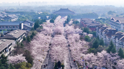 中国人観光客 8割以上が「旅行前に詳細計画を作成」