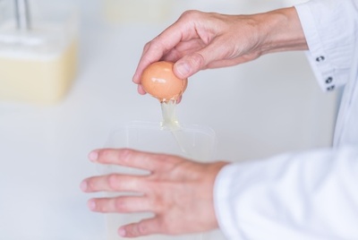 殺虫剤汚染の卵、英仏にも流入 欧州で影響拡大