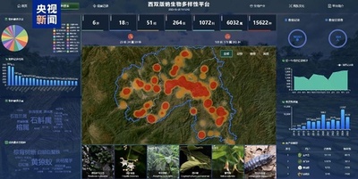 中国初の熱帯生物多様性デジタルプラットフォーム設立 生物種記録9万件を公開