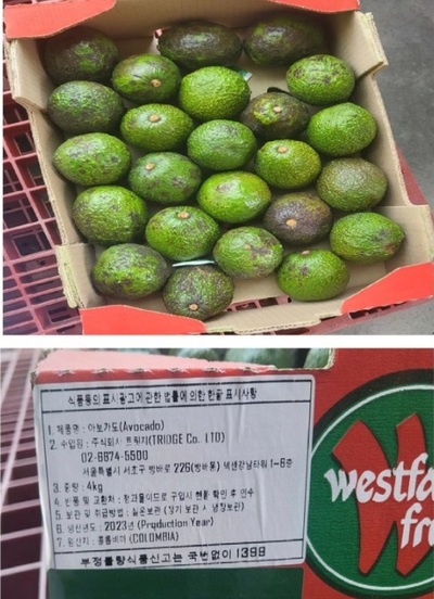 韓国で販売のアボカドの一部、基準値の200倍超の残留農薬