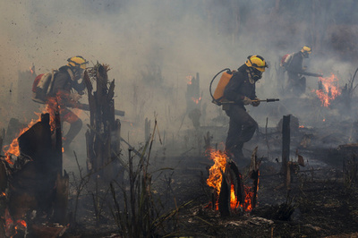 ブラジル火災面積、ボルソナロ政権末期に急増 11月は90％増