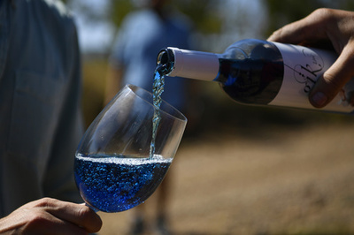 「青ワイン」で業界に新風、スペイン学生スタートアップ企業の冒険【再掲】