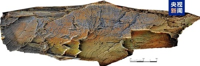 中国青海省で秦代の石刻発見 原位置保存で中国国内最高標高