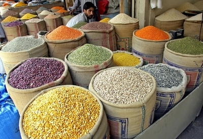 台湾でドッグフード回収、パキスタンから輸入のトウモロコシにカビ毒