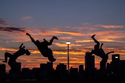 【今日の1枚】夕焼け空に舞うシルエット 東京