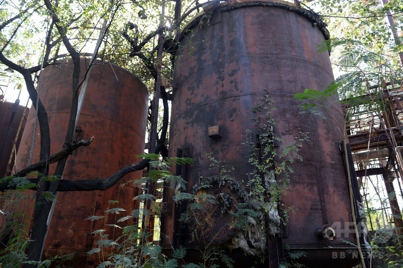 ボパール化学工場事故から30年、次世代に引き継がれる健康被害