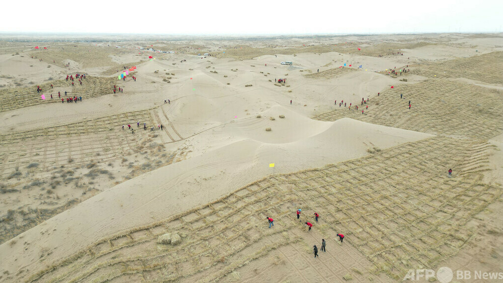 公務員幹部らが砂漠で砂防壁作り 中国甘粛省の発電所周辺 写真4枚 国際
