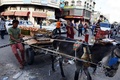 パレスチナ自治区ガザ地区（Gaza Strip）ガザ市（Gaza City）の市場（2014年8月9日撮影）。(c)AFP/ROBERTO SCHMIDT
