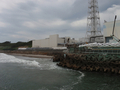 福島第1原子力発電所の脇に防波堤代わりに置かれた白い砂袋（2011年6月30日、東京電力撮影）。(c)AFP/TEPCO