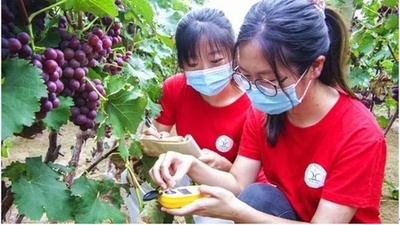 「科技小院」が農村の人材育成に貢献