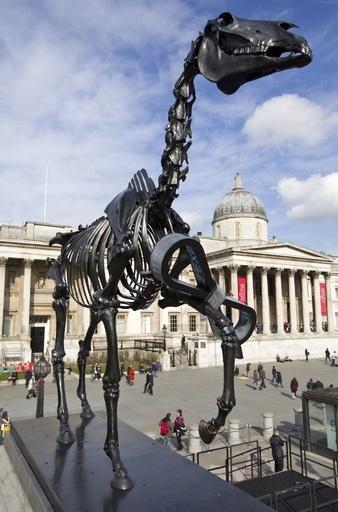 「馬の骸骨」の彫刻、英ロンドン・トラファルガー広場に登場