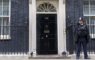 選挙結果なんてどこ吹く風？英首相官邸のネコ