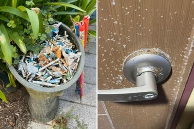 「1泊2万5000円でこれはない」…韓国・済州島ペンションの“カビだらけ地獄”に批判殺到