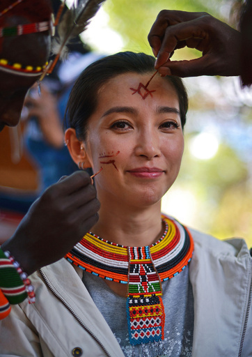 ゾウの虐殺に終止符を、中国映画スターがアジアに呼び掛け