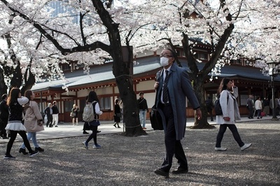 日本の春、桜色の靖国神社